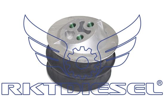 Coxim Dianteiro Motor