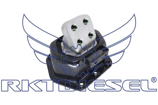 Coxim Motor