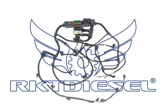 Chicote Motor Completo
