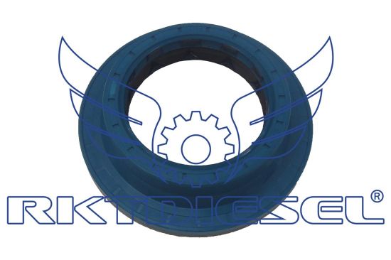 Retentor Flange Pinhão