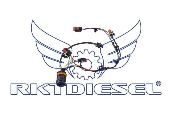 Chicote Motor Completo