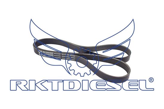 Correia 7pk1753