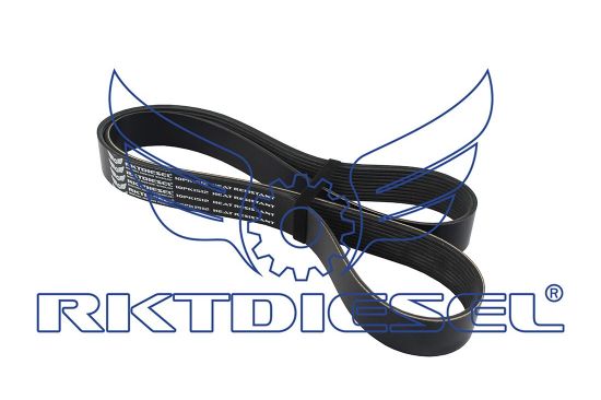 Correia 10pk1512