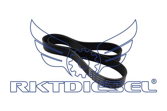 Correia 10pk1445
