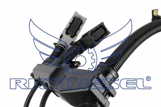 Chicote Motor Completo