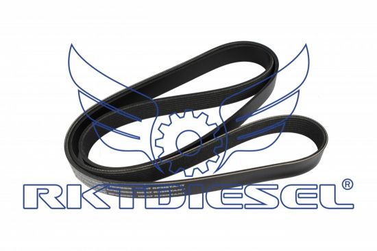 Correia 8pk2065