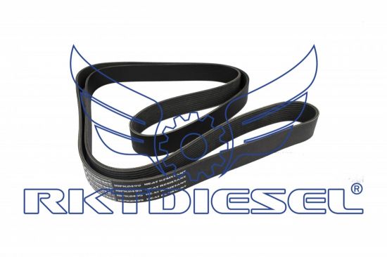 Correia 10pk2495