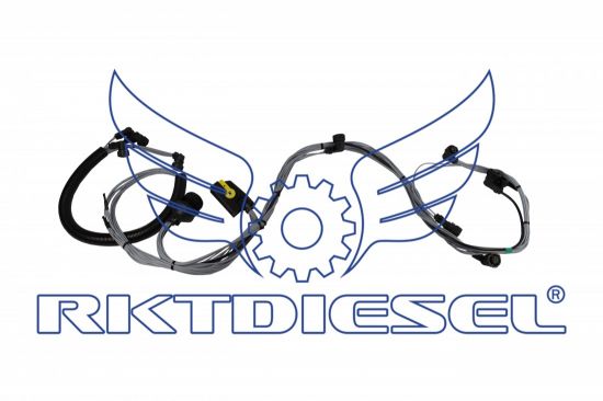 Chicote Motor Completo