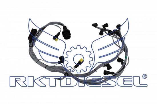 Chicote Motor Completo