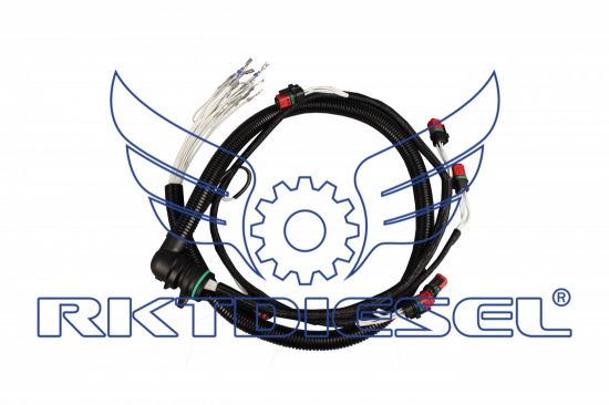 Chicote Motor Completo