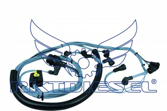 Chicote Motor Completo