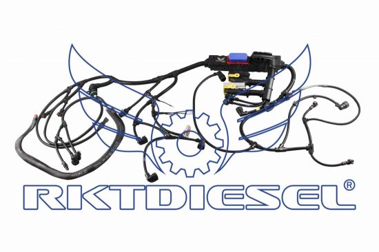 Chicote Motor Completo